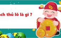 Bạch thủ lô là gì?