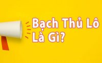 Bạch Thủ Lô Là Gì