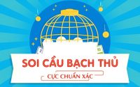 Cách bắt bạch thủ lô hiệu quả